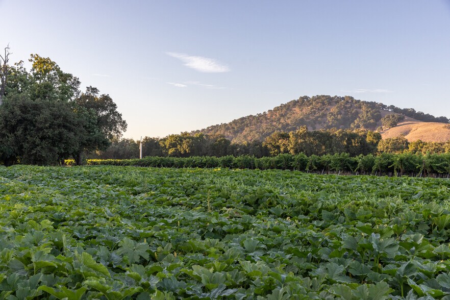 More Photos Of 0 Ragatz Lane, Napa Land For Sale