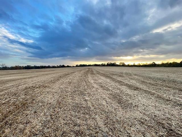 Primary Photo Of 00 Hwy & Anderson Ave, Brownsville Land For Sale
