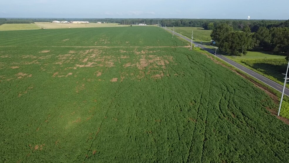 More Photos Of Hwy 9 @ Beauty Spot Rd, Bennettsville Land For Sale