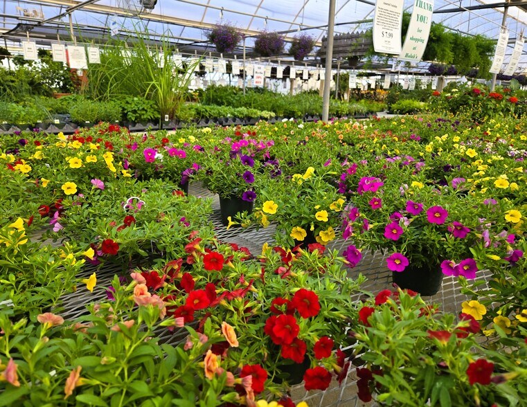 More Photos Of 22085 580th Ave, Ames Specialty For Sale