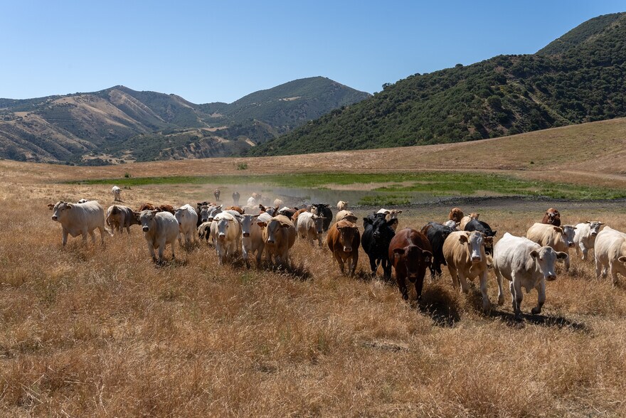 More Photos Of 48400 Reliz Canyon Rd, Greenfield Land For Sale
