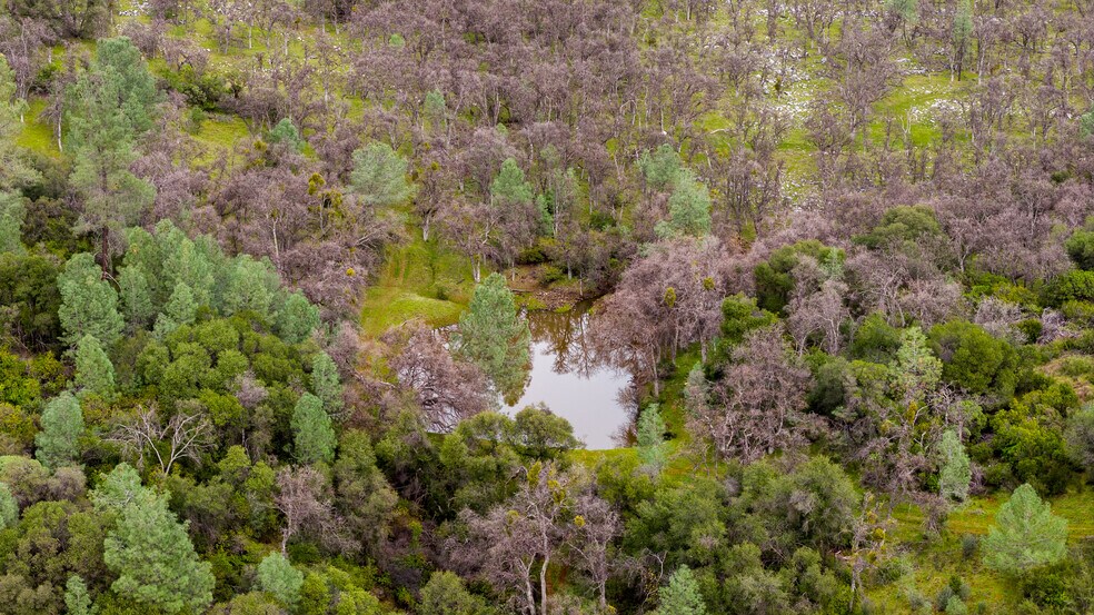 More Photos Of Skunk Gulch Rd, Vallecito Land For Sale