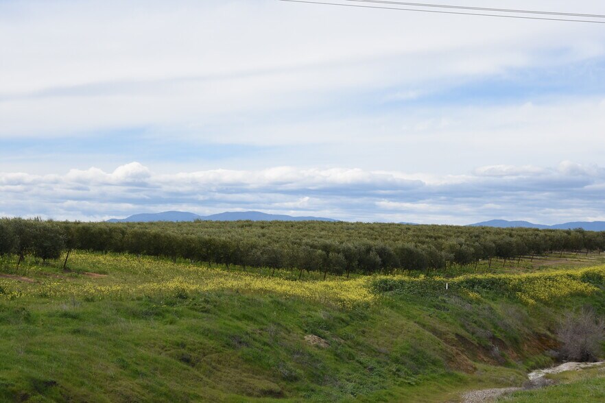 More Photos Of Road 33 @ Road D, Artois Land For Sale