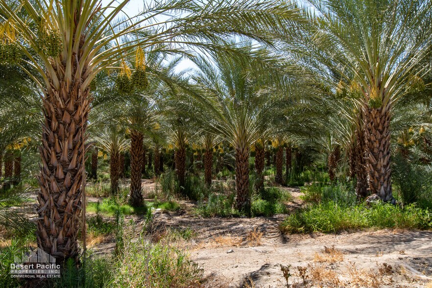 More Photos Of 75317 Polk St st, Thermal Land For Sale