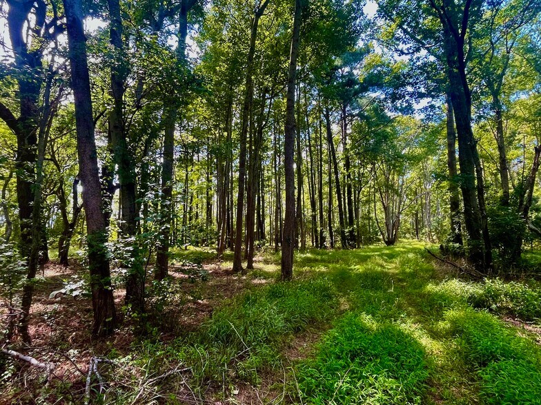 More Photos Of 0 Side Lane, Powells Point Land For Sale