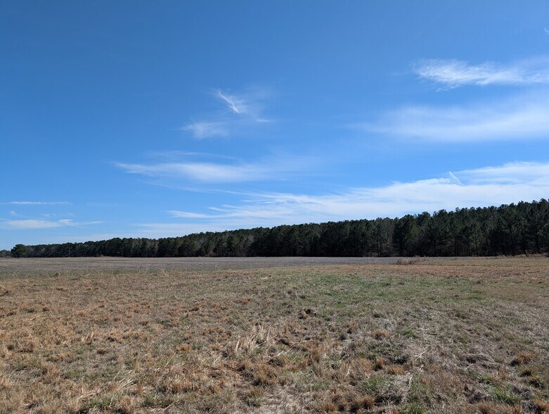 More Photos Of 522 Plum Nearly Ln, Trenton Land For Sale