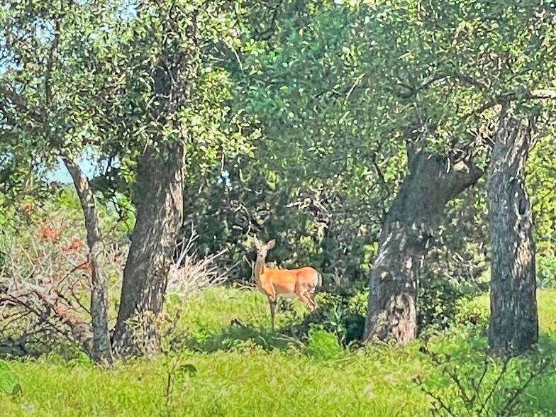 More Photos Of County Road 253, Bertram Land For Sale