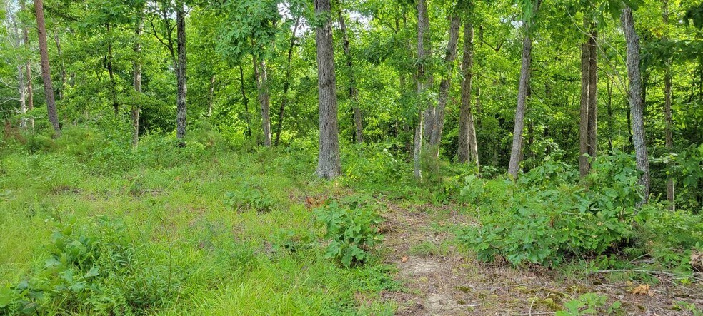 More Photos Of 0 Easy Street Extension Grv, Providence Land For Sale