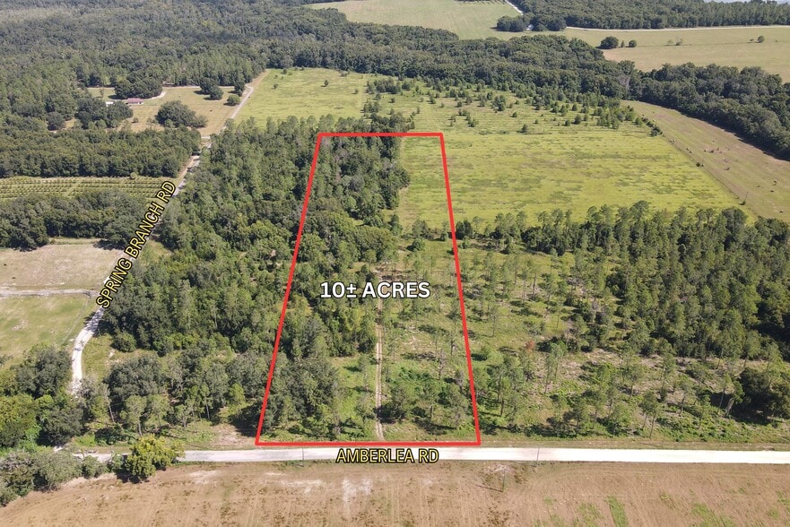 Primary Photo Of Amberlea Rd, Dade City Land For Sale