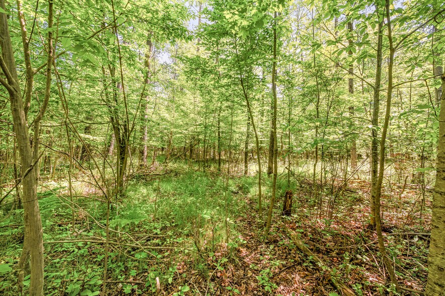 More Photos Of V/L 220th Ave, Big Rapids Land For Sale