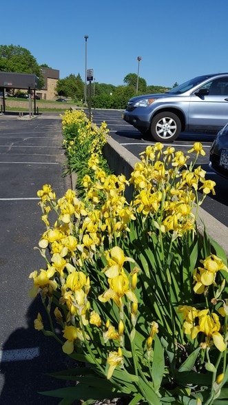 More Photos Of 4111 Central Ave NE, Columbia Heights Office For Lease