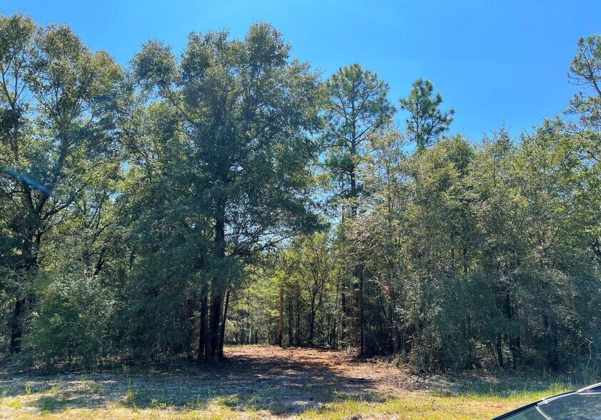 More Photos Of TBD Juniper Lake Road, Defuniak Springs Land For Sale