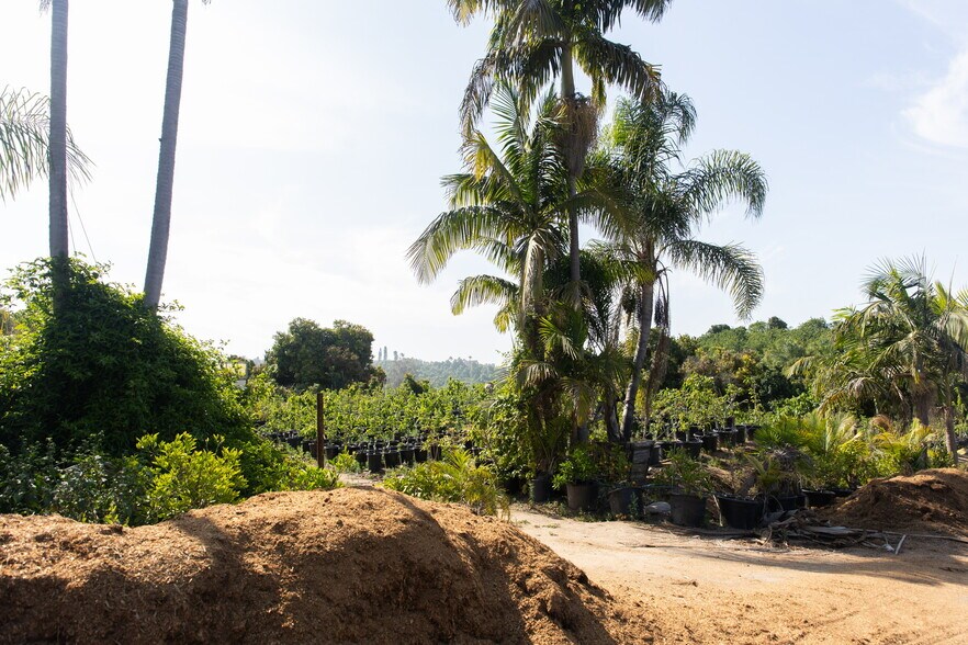 More Photos Of 3129 Reche Rd, Fallbrook Land For Sale