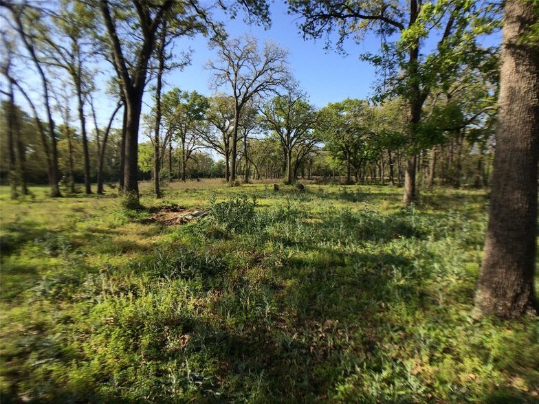 More Photos Of 24936 HIGHWAY 159, Hempstead Land For Sale