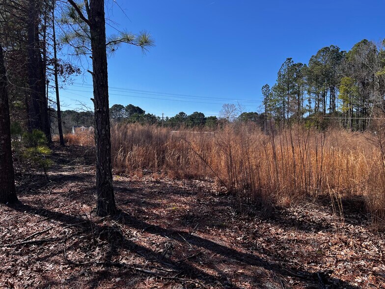 More Photos Of 1284 NC 50, Benson Land For Sale