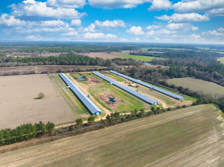 More Photos Of 441 Weaver Rd, Moultrie Land For Sale