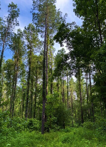 More Photos Of 00 Kennedy Rd, Winnsboro Land For Sale