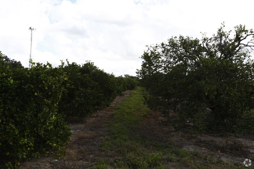 More Photos Of 13-115 E 9th St, Frostproof Land For Sale