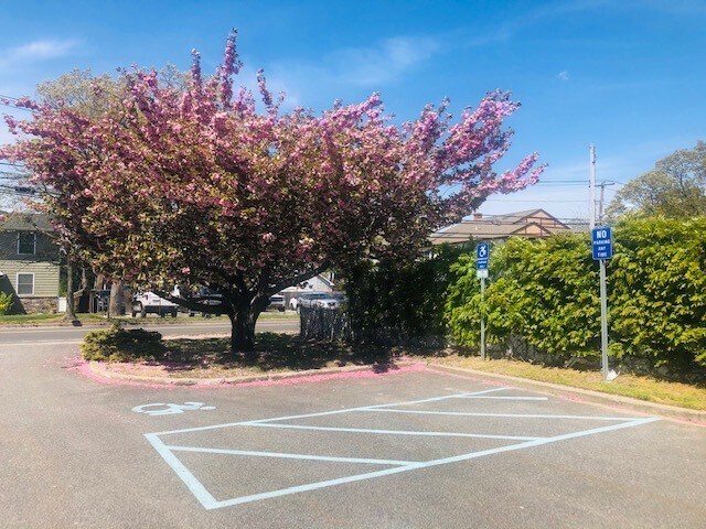 More Photos Of 111 Carleton Ave, Islip Terrace Medical For Lease