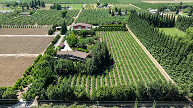 More Photos Of 20592 Ayers Rd, Escalon Land For Sale