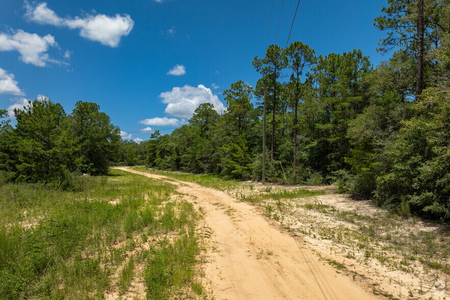 More Photos Of , Defuniak Springs Land For Sale