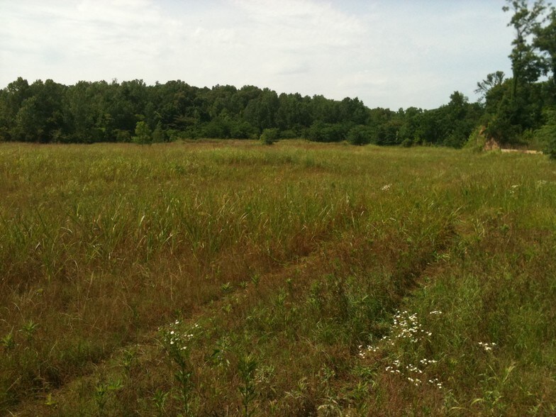 More Photos Of River Terminal Rd, Natchez Land For Sale