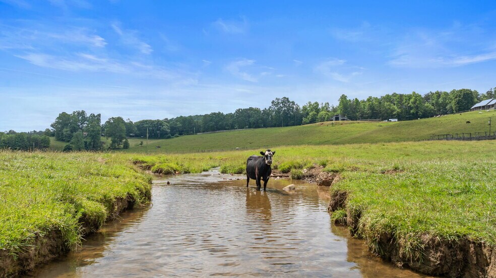 More Photos Of 102 Cross Creek Ln, Warne Land For Sale