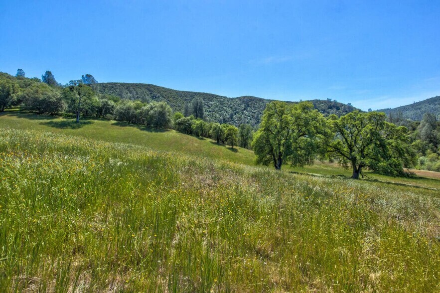 More Photos Of 4780-4784 Mary Harrison Mine Rd, Coulterville Land For Sale