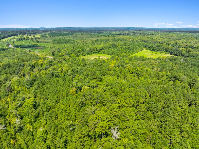 More Photos Of 7471 Highway 155, Saline Land For Sale