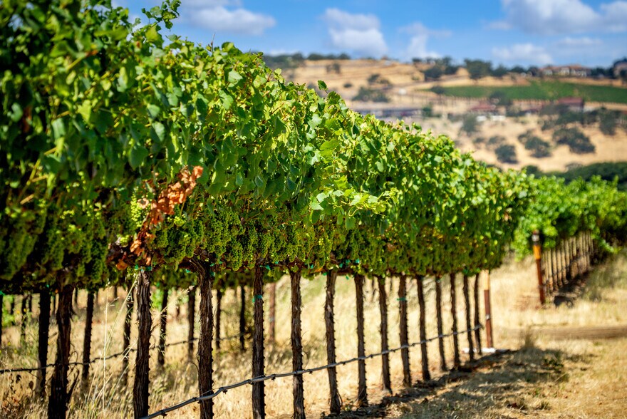 More Photos Of 4591 Abernathy Rd, Fairfield Land For Sale