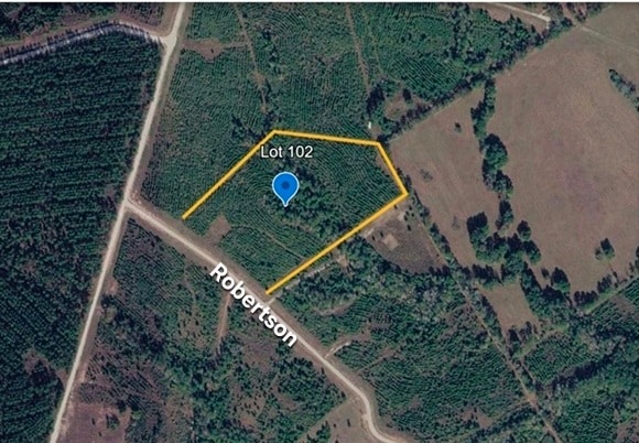 Primary Photo Of Tract 102 Robertson rd, Lovelady Land For Sale