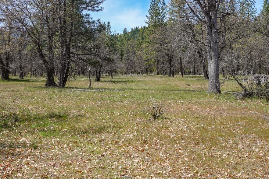 More Photos Of 2003 Kidder Creek Rd, Greenview Land For Sale