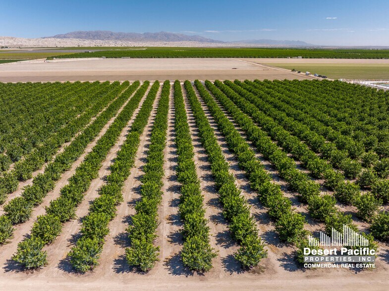 More Photos Of Wheeler St, Mecca Land For Sale