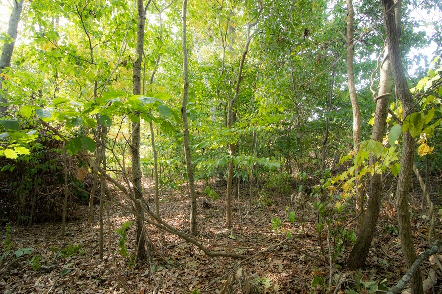 More Photos Of 44R Field, Cromwell Land For Sale