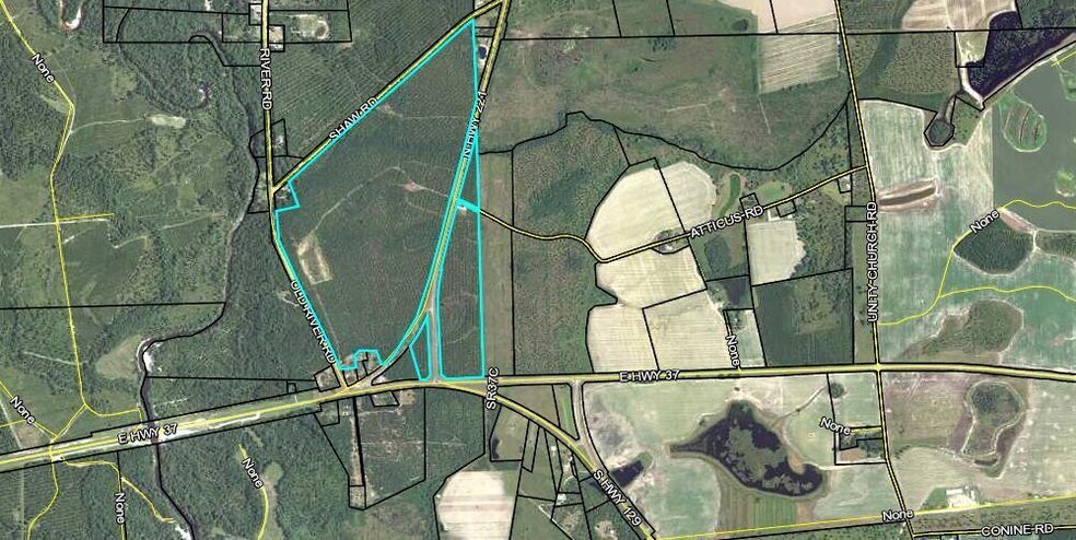 More Photos Of 8 Acres Hwy 221 hwy, Lakeland Land For Sale