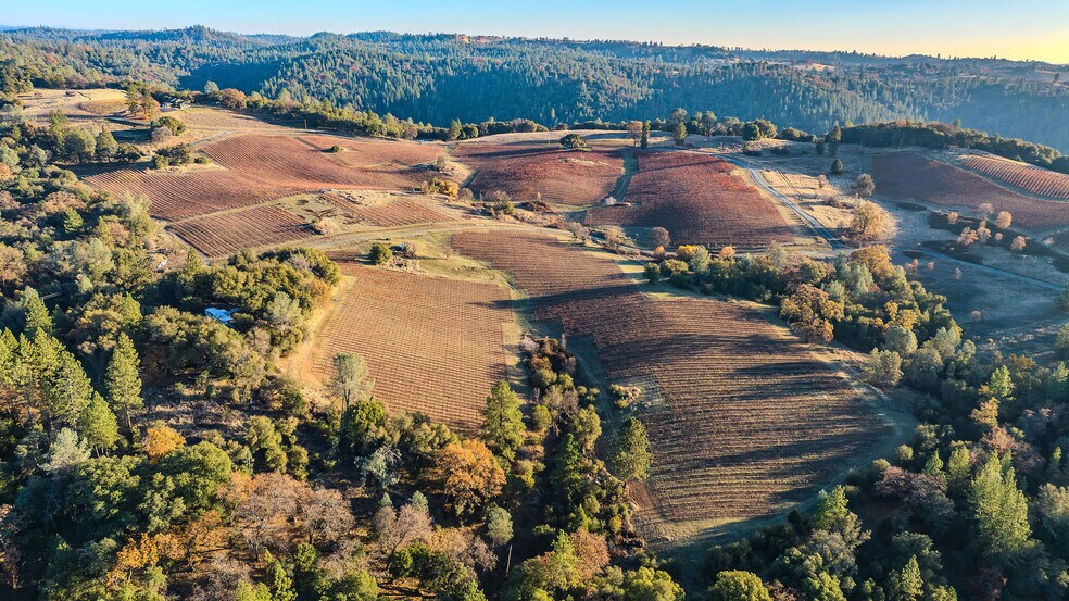 More Photos Of 5200 Di Arie Road Rd, Mount Aukum Land For Sale