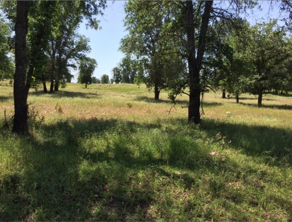 More Photos Of 0 Delmar Loomis CA 95650 ave, Loomis Land For Sale