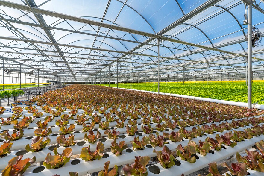 More Photos Of 2075 N Twin Oaks Valley Rd, San Marcos Garden Center For Lease