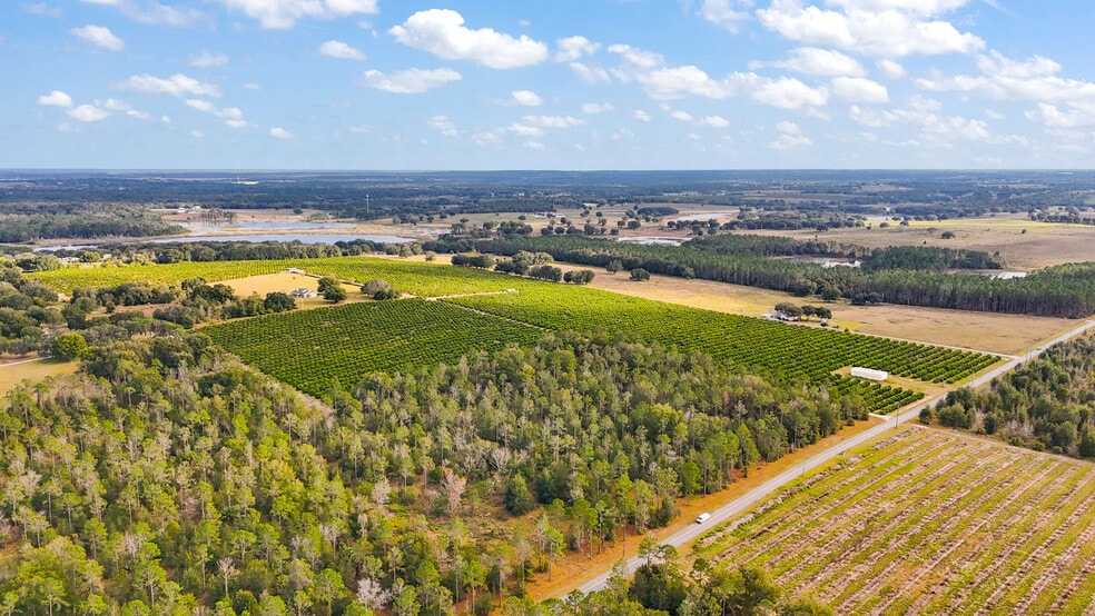 More Photos Of 7285 Number Two rd, Howey-in-the-Hills Land For Sale