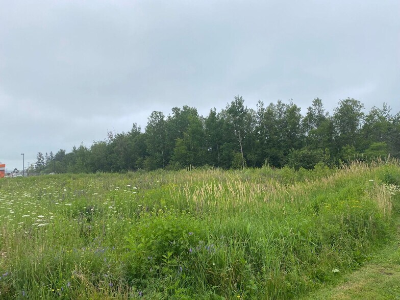 More Photos Of 215 Albion St S, Amherst Land For Sale