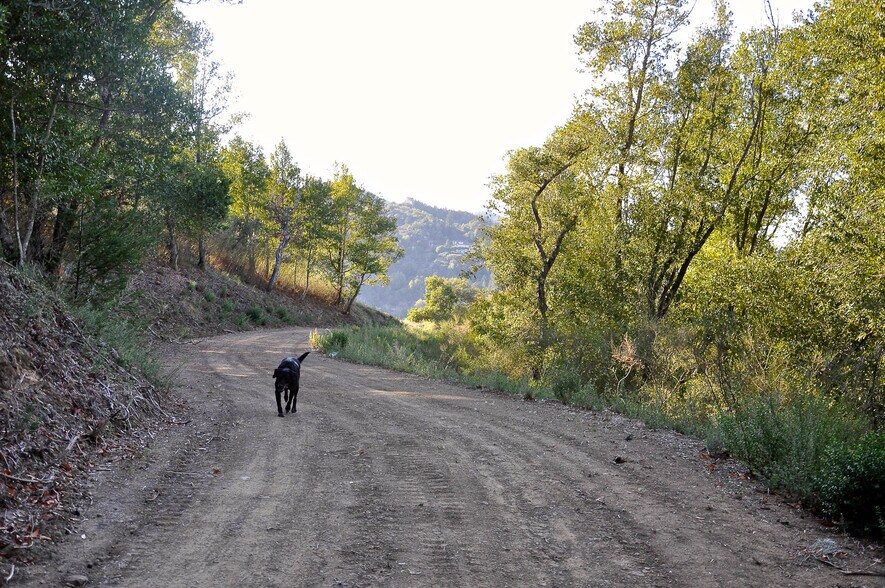 More Photos Of 128 Ridgecrest Road, Kentfield Land For Sale