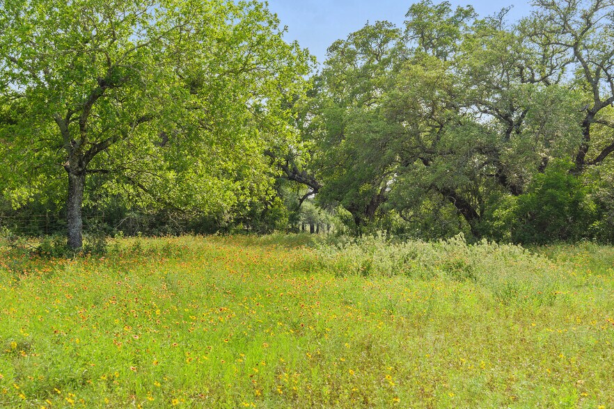 More Photos Of 534 County Road 407, Spicewood Land For Sale