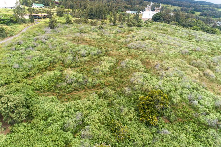 More Photos Of Tract E, Honokaa Land For Sale