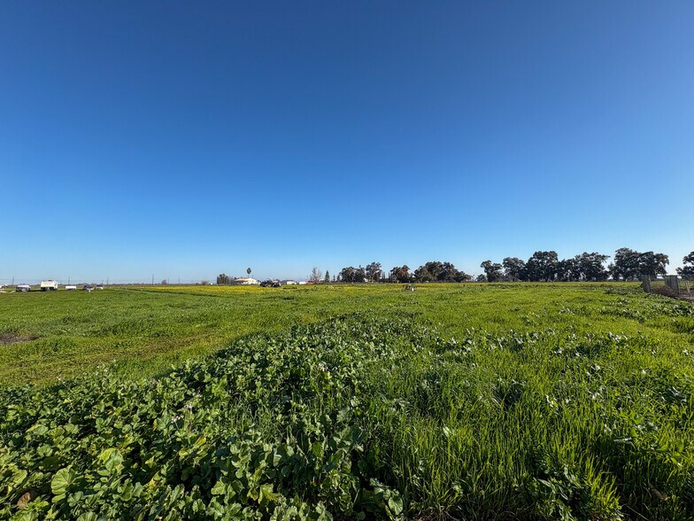 More Photos Of Learning Tree Lane Brentwood, Brentwood Land For Sale