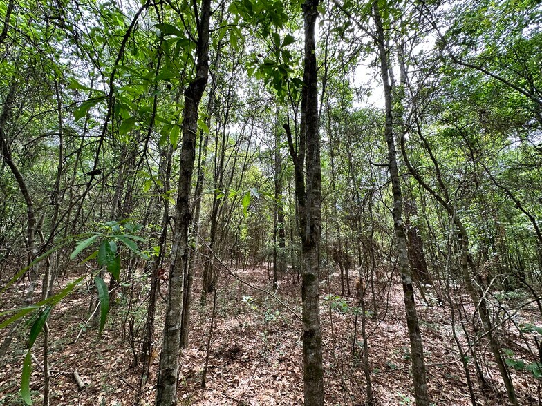 More Photos Of 0 Wilmer, Wilmer Land For Sale