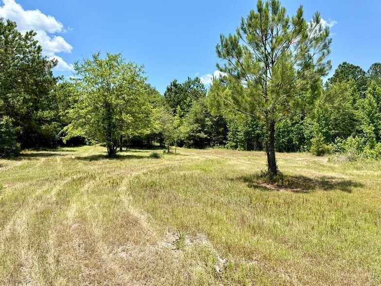 More Photos Of 241 Foskey Cemetery Rd, Adrian Land For Sale