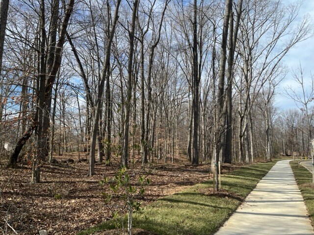 More Photos Of Farragut Drive, Bryans Road Land For Sale