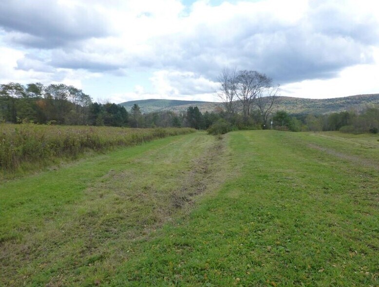 More Photos Of 4740 State Highway 28, Hartwick Seminary Land For Sale