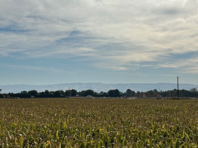 Primary Photo Of tbd Bunchgrass Lane Walla Walla County, Walla Walla Land For Sale