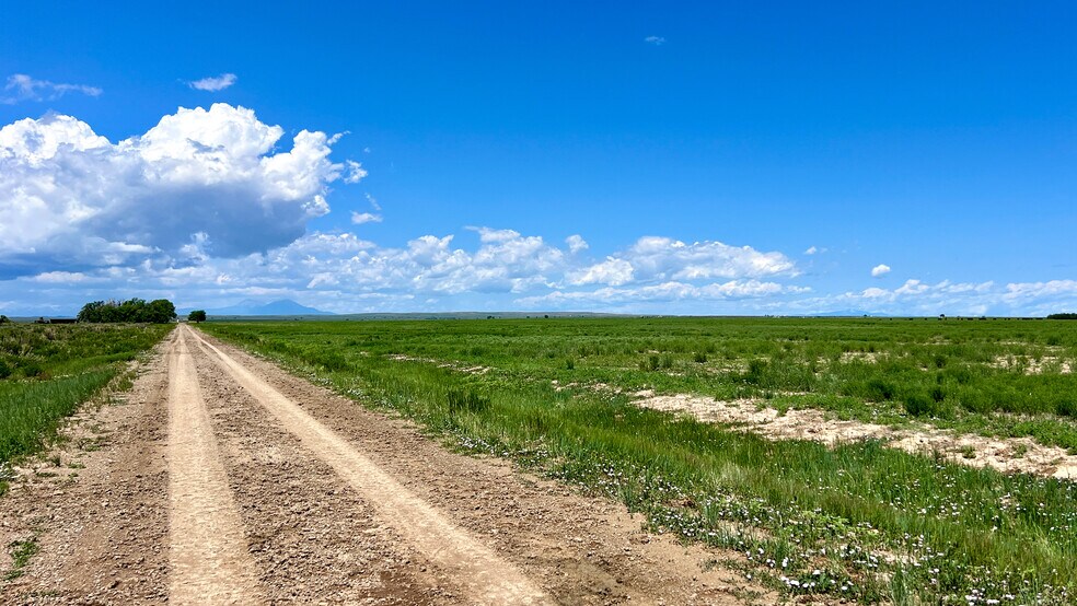 More Photos Of 48999 County Road 48, Model Land For Sale